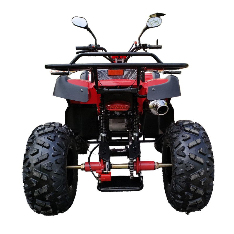 Hot sale model 150cc atv 4X2 2 wheel 4 wheel ATV off road for sale